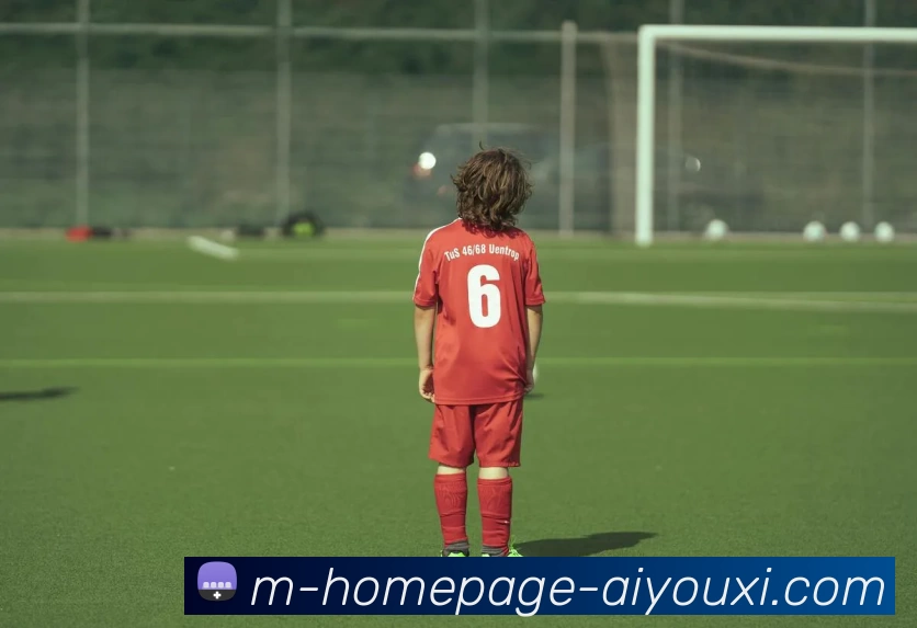 爱游戏品牌故事