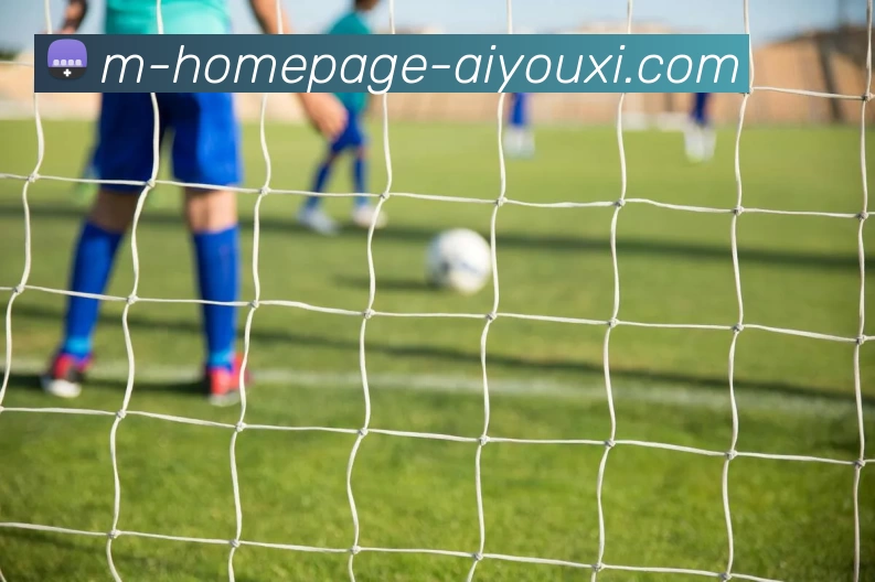 爱游戏服务体系